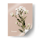 Bonesets Blancos Ii - Gerard Paul Deshayes | Cuadro decorativo de Canvas Lab