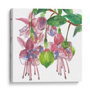 Fucsias I - Melissa Wang | Cuadro decorativo de Canvas Lab