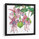 Fucsias I - Melissa Wang | Cuadro decorativo de Canvas Lab