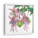 Fucsias I - Melissa Wang | Cuadro decorativo de Canvas Lab