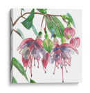 Fucsias Ii - Melissa Wang | Cuadro decorativo de Canvas Lab