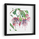 Fucsias Ii - Melissa Wang | Cuadro decorativo de Canvas Lab