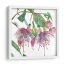 Fucsias Ii - Melissa Wang | Cuadro decorativo de Canvas Lab