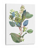 Sembrado Eucalipto I - Melissa Wang | Cuadro decorativo de Canvas Lab