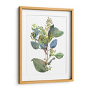 Sembrado Eucalipto I - Melissa Wang | Cuadro decorativo de Canvas Lab