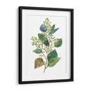Eucalipto Sembrado Ii - Melissa Wang | Cuadro decorativo de Canvas Lab