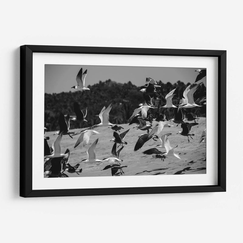 Birds - HCTR | Cuadro decorativo de Canvas Lab