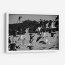 Birds - HCTR | Cuadro decorativo de Canvas Lab