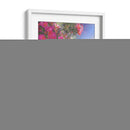 Cascada De Rosas I - Chris Vest | Cuadro decorativo de Canvas Lab