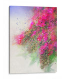 Cascada De Rosas Ii - Chris Vest | Cuadro decorativo de Canvas Lab