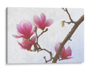 Magnolias Pintadas I - Chris Vest | Cuadro decorativo de Canvas Lab