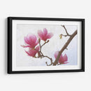 Magnolias Pintadas I - Chris Vest | Cuadro decorativo de Canvas Lab