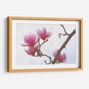 Magnolias Pintadas I - Chris Vest | Cuadro decorativo de Canvas Lab