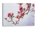 Magnolias Pintadas Ii - Chris Vest | Cuadro decorativo de Canvas Lab