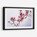 Magnolias Pintadas Ii - Chris Vest | Cuadro decorativo de Canvas Lab