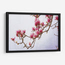 Magnolias Pintadas Ii - Chris Vest | Cuadro decorativo de Canvas Lab