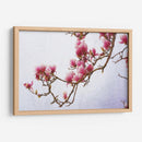 Magnolias Pintadas Ii - Chris Vest | Cuadro decorativo de Canvas Lab
