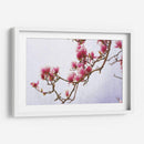 Magnolias Pintadas Ii - Chris Vest | Cuadro decorativo de Canvas Lab