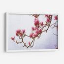 Magnolias Pintadas Ii - Chris Vest | Cuadro decorativo de Canvas Lab