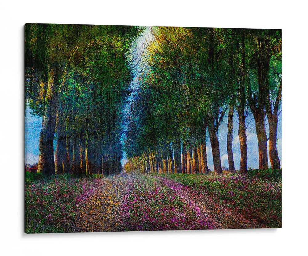 Fila De Árboles Provenza - Chris Vest | Cuadro decorativo de Canvas Lab