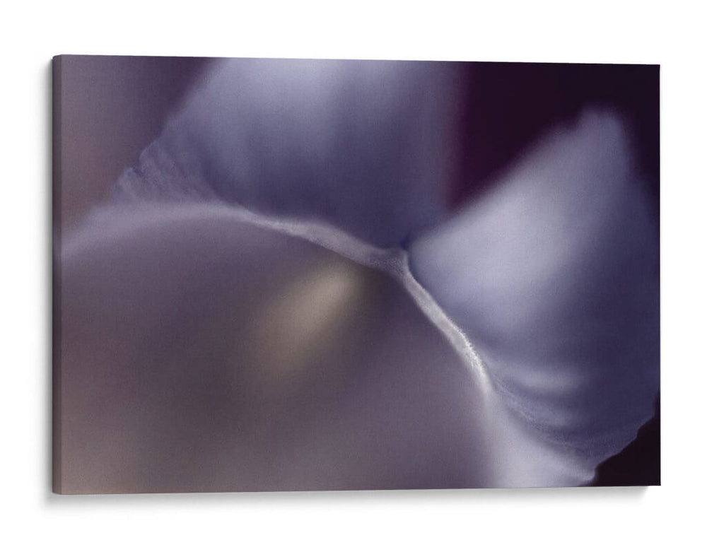 Haunting Ii - Judy Stalus | Cuadro decorativo de Canvas Lab
