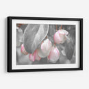 Terciopelo Gris I - Judy Stalus | Cuadro decorativo de Canvas Lab