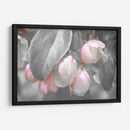 Terciopelo Gris I - Judy Stalus | Cuadro decorativo de Canvas Lab