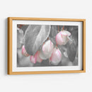 Terciopelo Gris I - Judy Stalus | Cuadro decorativo de Canvas Lab