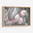 Terciopelo Gris I - Judy Stalus | Cuadro decorativo de Canvas Lab