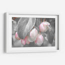 Terciopelo Gris I - Judy Stalus | Cuadro decorativo de Canvas Lab