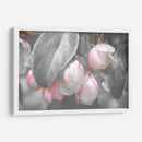 Terciopelo Gris I - Judy Stalus | Cuadro decorativo de Canvas Lab