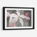 Velvet Grew Ii - Judy Stalus | Cuadro decorativo de Canvas Lab