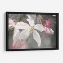 Velvet Grew Ii - Judy Stalus | Cuadro decorativo de Canvas Lab