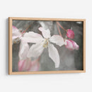 Velvet Grew Ii - Judy Stalus | Cuadro decorativo de Canvas Lab