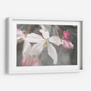 Velvet Grew Ii - Judy Stalus | Cuadro decorativo de Canvas Lab