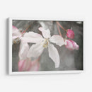 Velvet Grew Ii - Judy Stalus | Cuadro decorativo de Canvas Lab