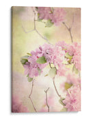 Alcanzando El Cielo I - Judy Stalus | Cuadro decorativo de Canvas Lab