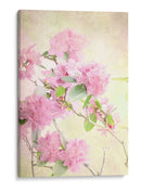 Alcanzando El Cielo Ii - Judy Stalus | Cuadro decorativo de Canvas Lab