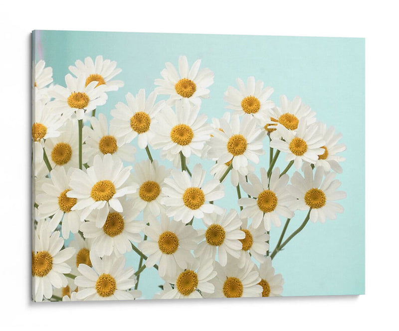 Daisy Love Ii - Judy Stalus | Cuadro decorativo de Canvas Lab