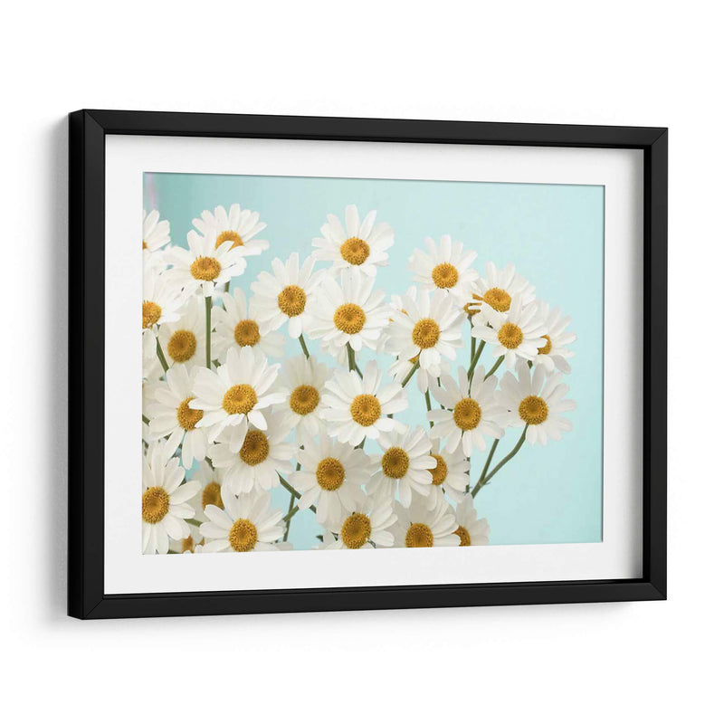 Daisy Love Ii - Judy Stalus | Cuadro decorativo de Canvas Lab