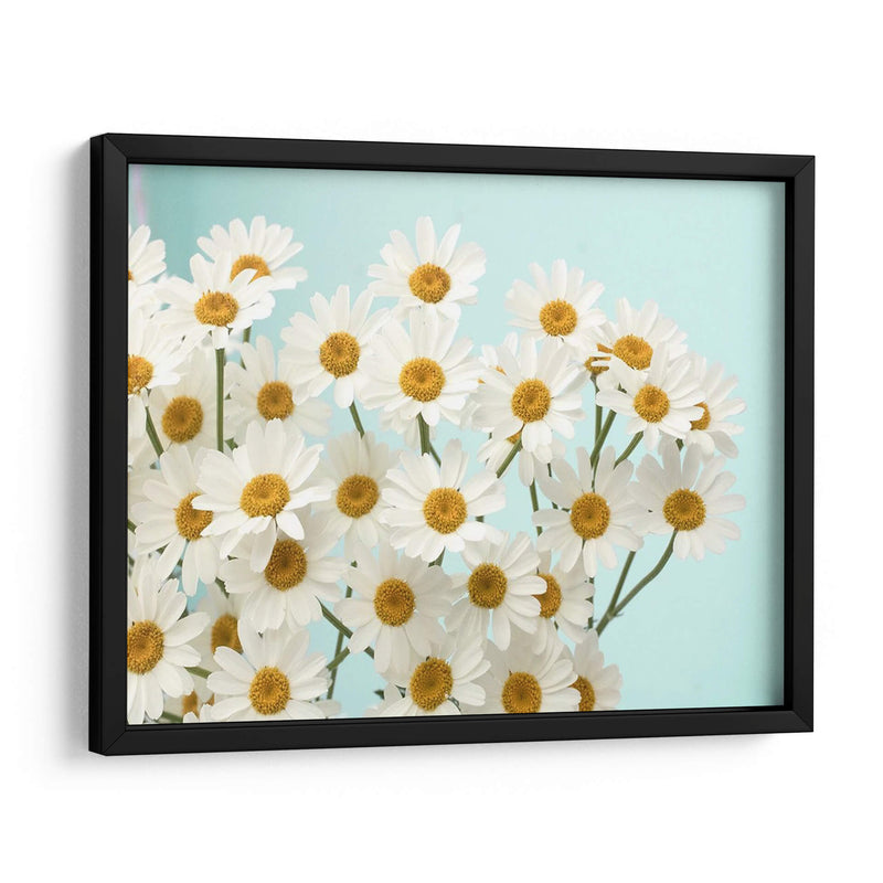 Daisy Love Ii - Judy Stalus | Cuadro decorativo de Canvas Lab