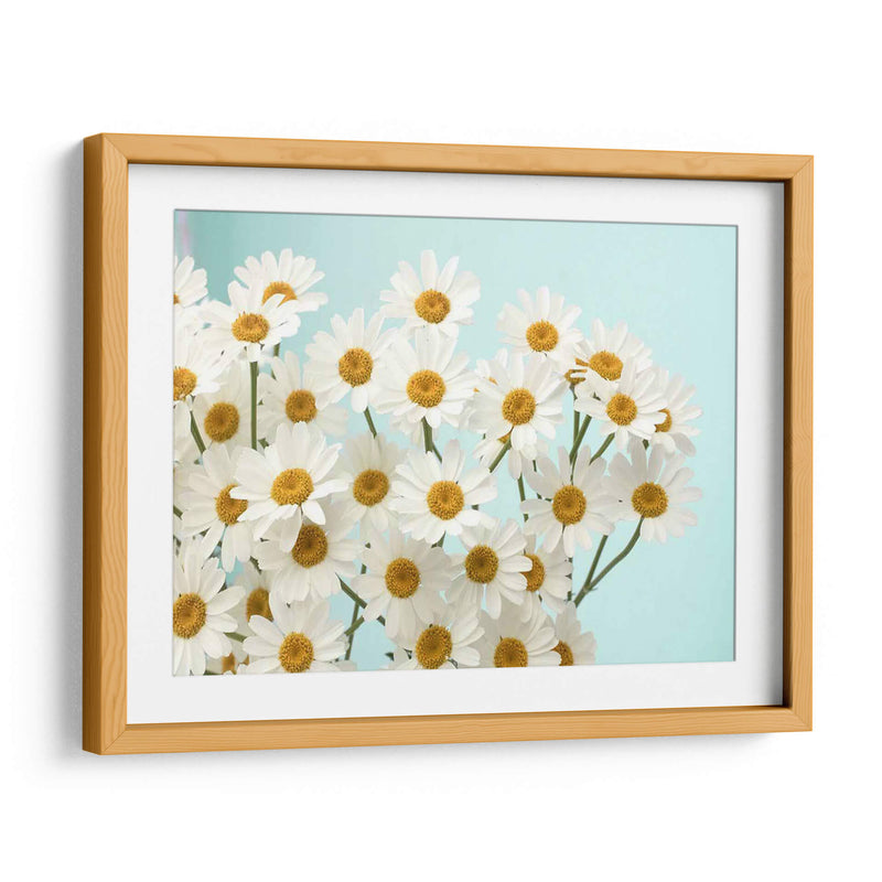 Daisy Love Ii - Judy Stalus | Cuadro decorativo de Canvas Lab