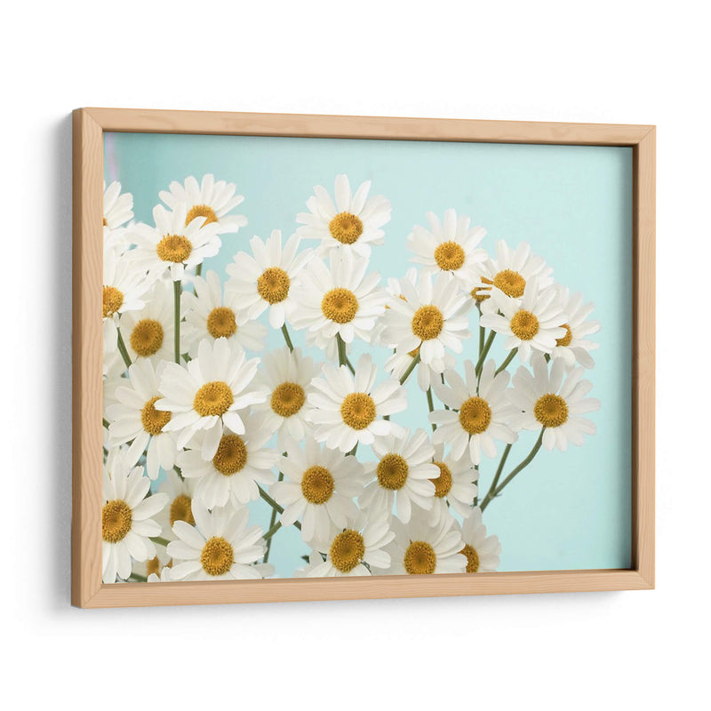 Daisy Love Ii - Judy Stalus | Cuadro decorativo de Canvas Lab