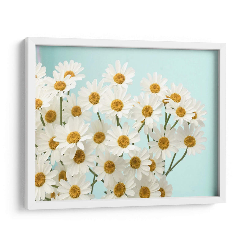 Daisy Love Ii - Judy Stalus | Cuadro decorativo de Canvas Lab