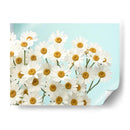 Daisy Love Ii - Judy Stalus | Cuadro decorativo de Canvas Lab