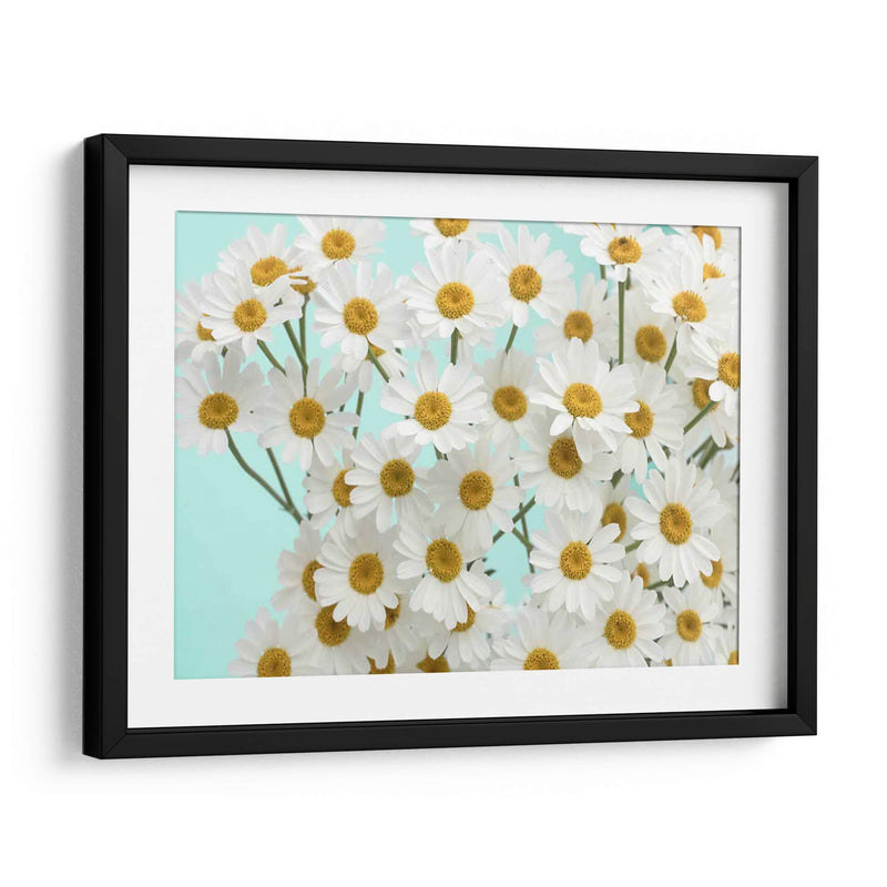 Daisy Love Iii - Judy Stalus | Cuadro decorativo de Canvas Lab