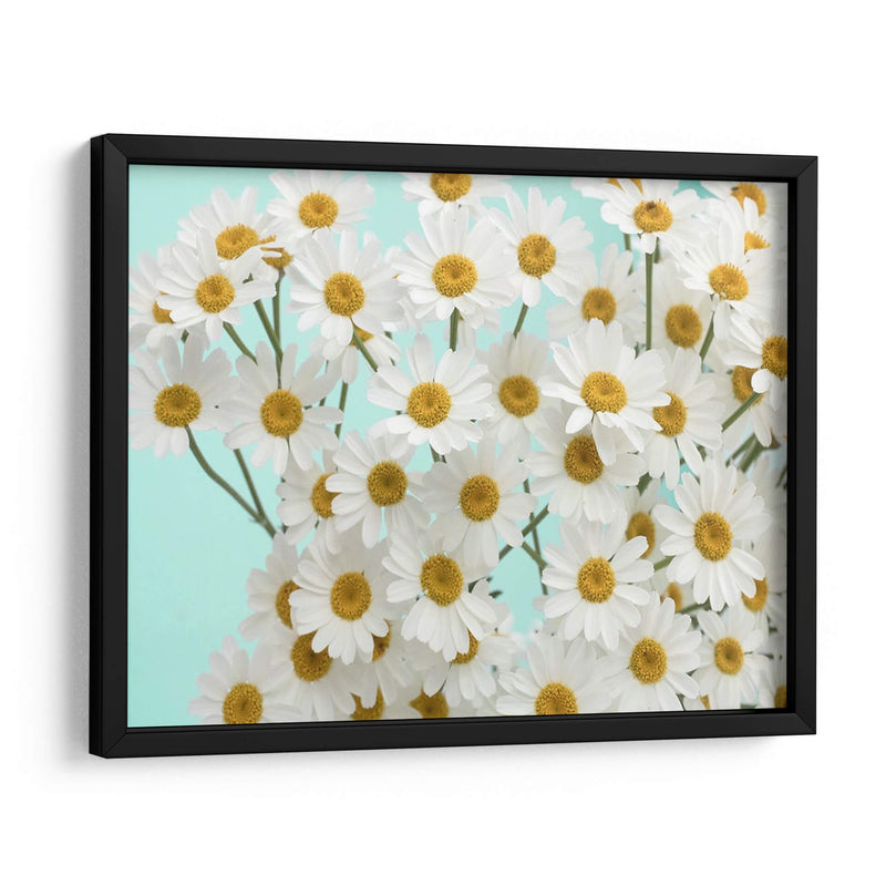 Daisy Love Iii - Judy Stalus | Cuadro decorativo de Canvas Lab