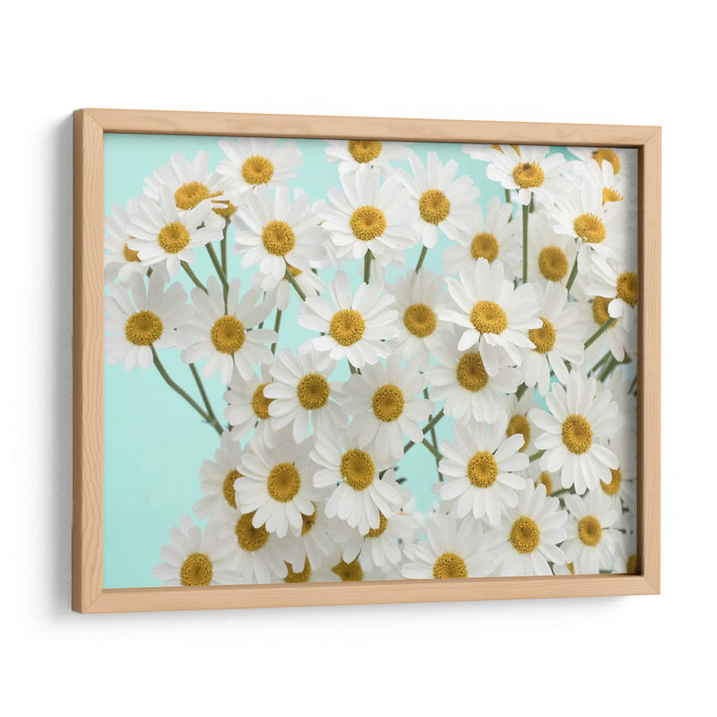 Daisy Love Iii - Judy Stalus | Cuadro decorativo de Canvas Lab