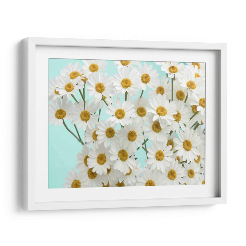 Daisy Love Iii - Judy Stalus | Cuadro decorativo de Canvas Lab