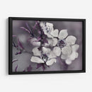 Cuentos De Una Glen Encantada I - Gillian Hunt | Cuadro decorativo de Canvas Lab